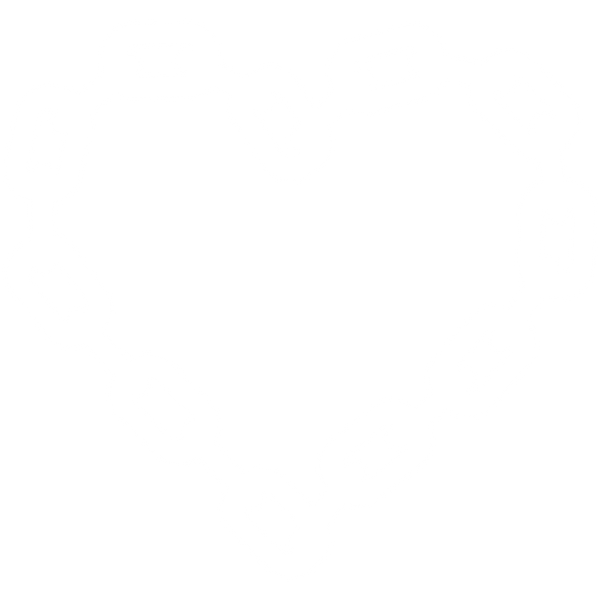 Protect Your Heart: Official Online Store